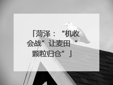 菏泽：“机收会战”让麦田“颗粒归仓”