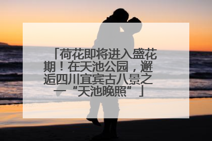 荷花即将进入盛花期！在天池公园，邂逅四川宜宾古八景之一“天池晚照”