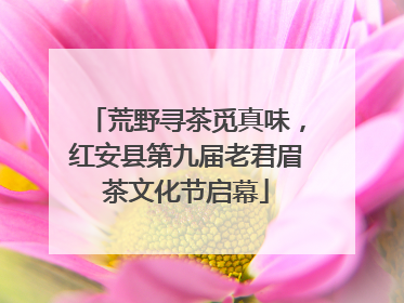 荒野寻茶觅真味，红安县第九届老君眉茶文化节启幕