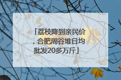 荔枝降到亲民价，合肥周谷堆日均批发20多万斤