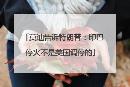 莫迪告诉特朗普：印巴停火不是美国调停的