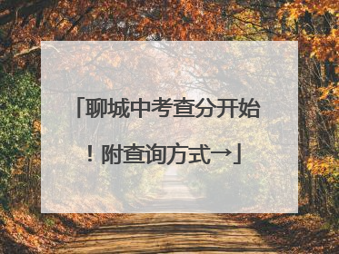 聊城中考查分开始！附查询方式→