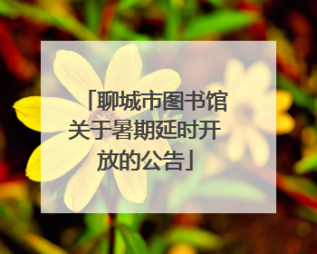 聊城市图书馆关于暑期延时开放的公告