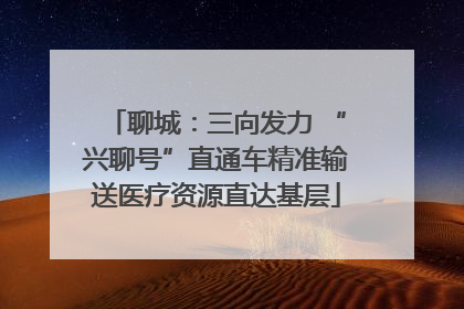 聊城：三向发力 “兴聊号”直通车精准输送医疗资源直达基层