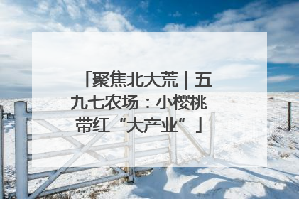 聚焦北大荒｜五九七农场：小樱桃带红“大产业”