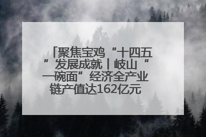 聚焦宝鸡“十四五”发展成就丨岐山“一碗面”经济全产业链产值达162亿元 入选全国典型县