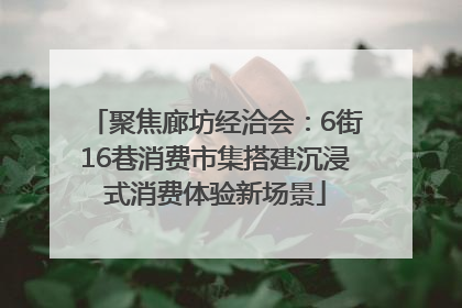 聚焦廊坊经洽会：6街16巷消费市集搭建沉浸式消费体验新场景
