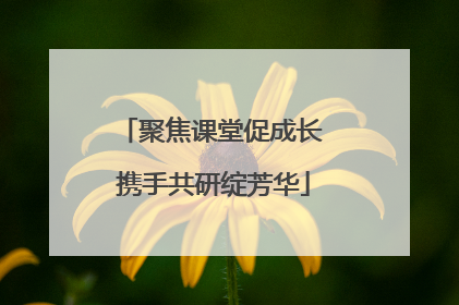 聚焦课堂促成长 携手共研绽芳华
