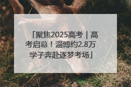 聚焦2025高考｜高考启幕！淄博约2.8万学子奔赴逐梦考场