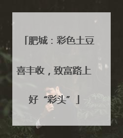 肥城：彩色土豆喜丰收，致富路上好“彩头”