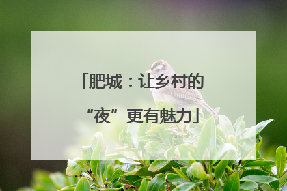 肥城：让乡村的“夜”更有魅力