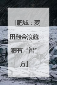 肥城：麦田翻金浪藏粮有“智”方