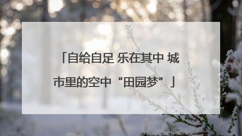 自给自足 乐在其中 城市里的空中“田园梦”