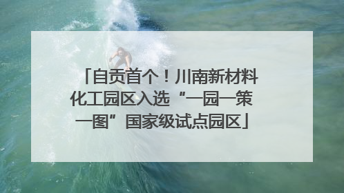 自贡首个！川南新材料化工园区入选“一园一策一图”国家级试点园区