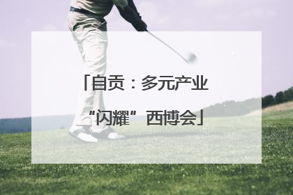 自贡：多元产业“闪耀”西博会