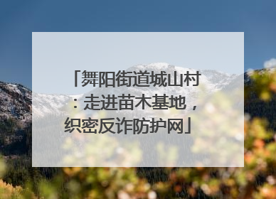 舞阳街道城山村：走进苗木基地，织密反诈防护网