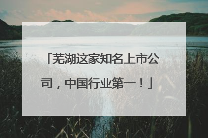 芜湖这家知名上市公司，中国行业第一！