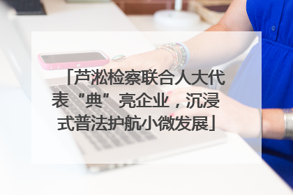 芦淞检察联合人大代表“典”亮企业，沉浸式普法护航小微发展