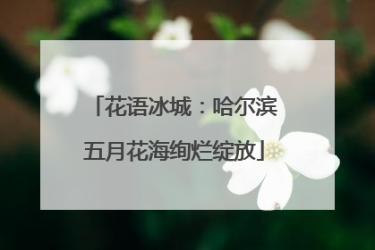 花语冰城：哈尔滨五月花海绚烂绽放