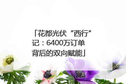 花都光伏“西行”记：6400万订单背后的双向赋能