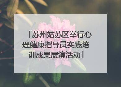 苏州姑苏区举行心理健康指导员实践培训成果展演活动