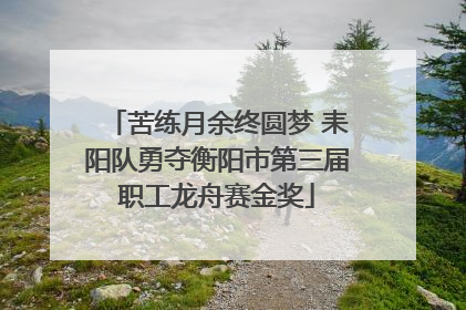 苦练月余终圆梦 耒阳队勇夺衡阳市第三届职工龙舟赛金奖