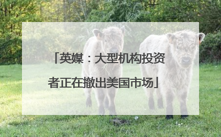 英媒：大型机构投资者正在撤出美国市场