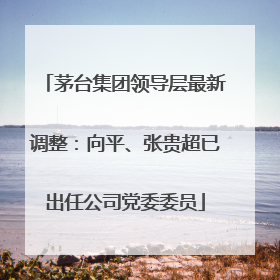 茅台集团领导层最新调整：向平、张贵超已出任公司党委委员