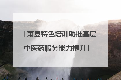 萧县特色培训助推基层中医药服务能力提升