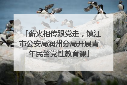 薪火相传跟党走，镇江市公安局润州分局开展青年民警党性教育课