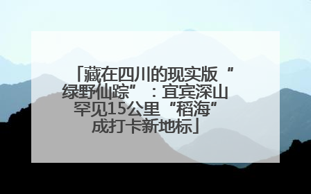 藏在四川的现实版“绿野仙踪”：宜宾深山罕见15公里“稻海”成打卡新地标