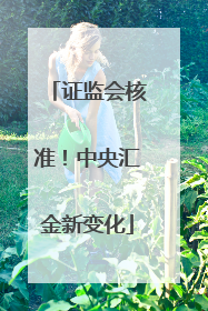 证监会核准！中央汇金新变化