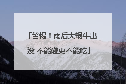 警惕！雨后大蜗牛出没 不能碰更不能吃