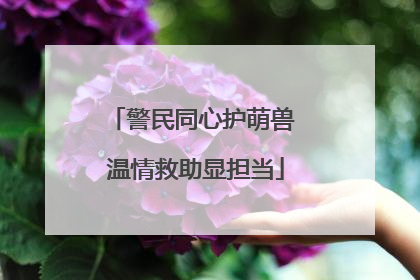 警民同心护萌兽 温情救助显担当