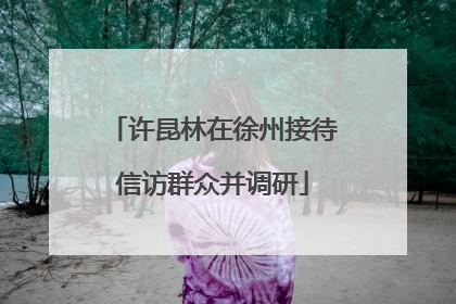 许昆林在徐州接待信访群众并调研