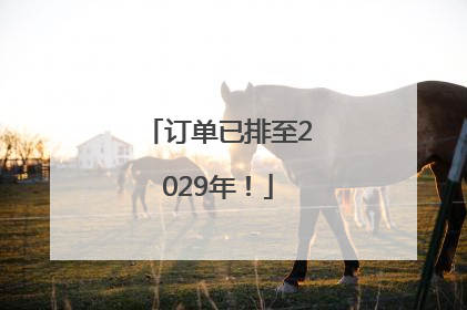 订单已排至2029年！