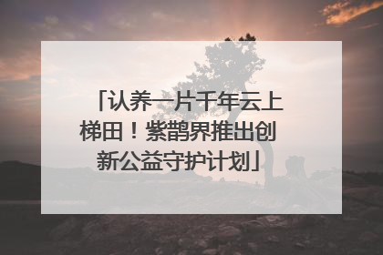 认养一片千年云上梯田！紫鹊界推出创新公益守护计划