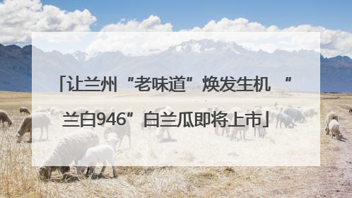 让兰州“老味道”焕发生机 “兰白946”白兰瓜即将上市
