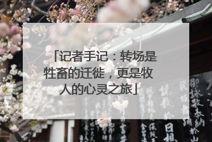记者手记：转场是牲畜的迁徙，更是牧人的心灵之旅