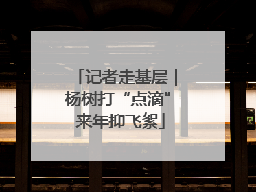 记者走基层｜杨树打“点滴” 来年抑飞絮