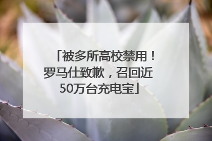 被多所高校禁用！罗马仕致歉，召回近50万台充电宝