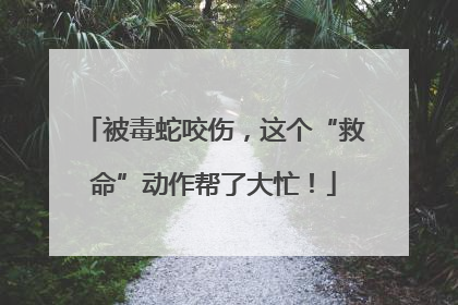 被毒蛇咬伤，这个“救命”动作帮了大忙！