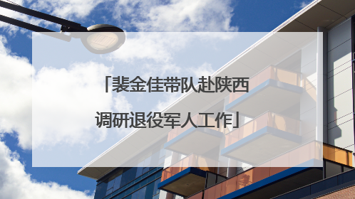 裴金佳带队赴陕西调研退役军人工作