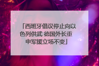 西班牙倡议停止向以色列供武 德国外长重申军援立场不变