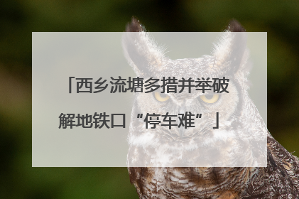 西乡流塘多措并举破解地铁口“停车难”