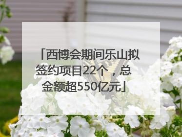 西博会期间乐山拟签约项目22个，总金额超550亿元