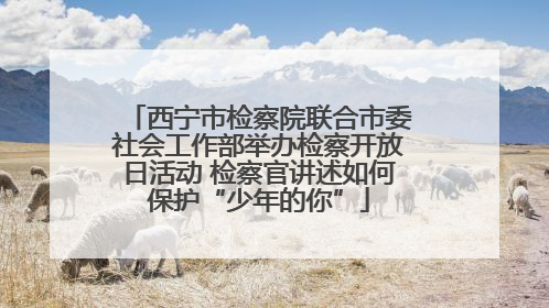 西宁市检察院联合市委社会工作部举办检察开放日活动 检察官讲述如何保护“少年的你”