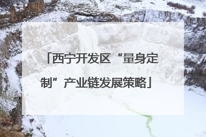 西宁开发区“量身定制”产业链发展策略