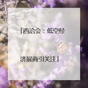 西洽会：低空经济展商引关注
