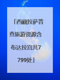 西藏拉萨普查旅游资源含布达拉宫共7799处